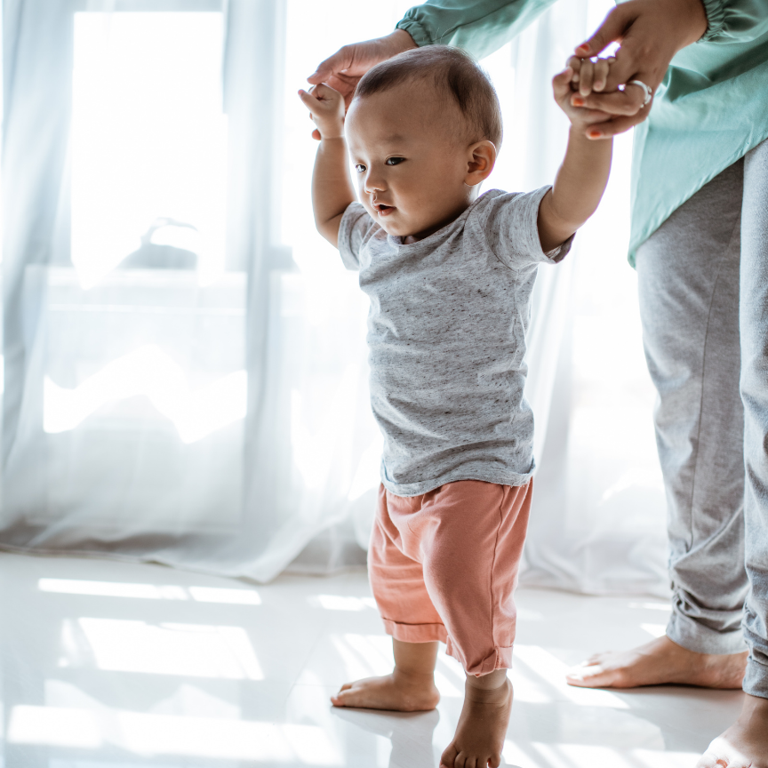 toddler walking with an adult's assistance